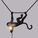seletti-marcantonio-monkey-lamp-black-swing-14916-wtob-2z6a7228_1.jpg